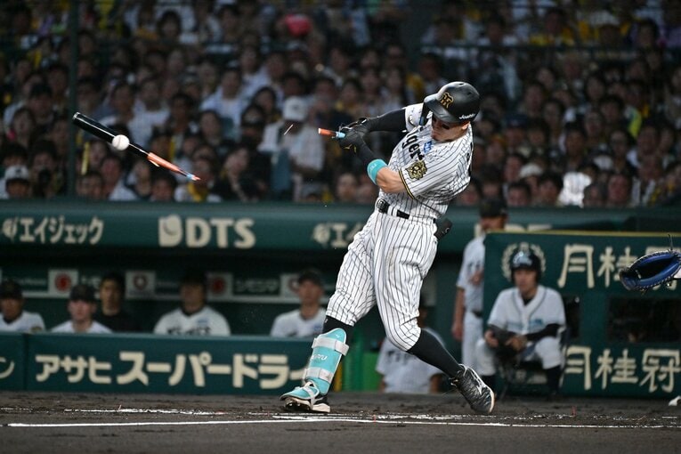 ©︎Hideki Sugiyama 