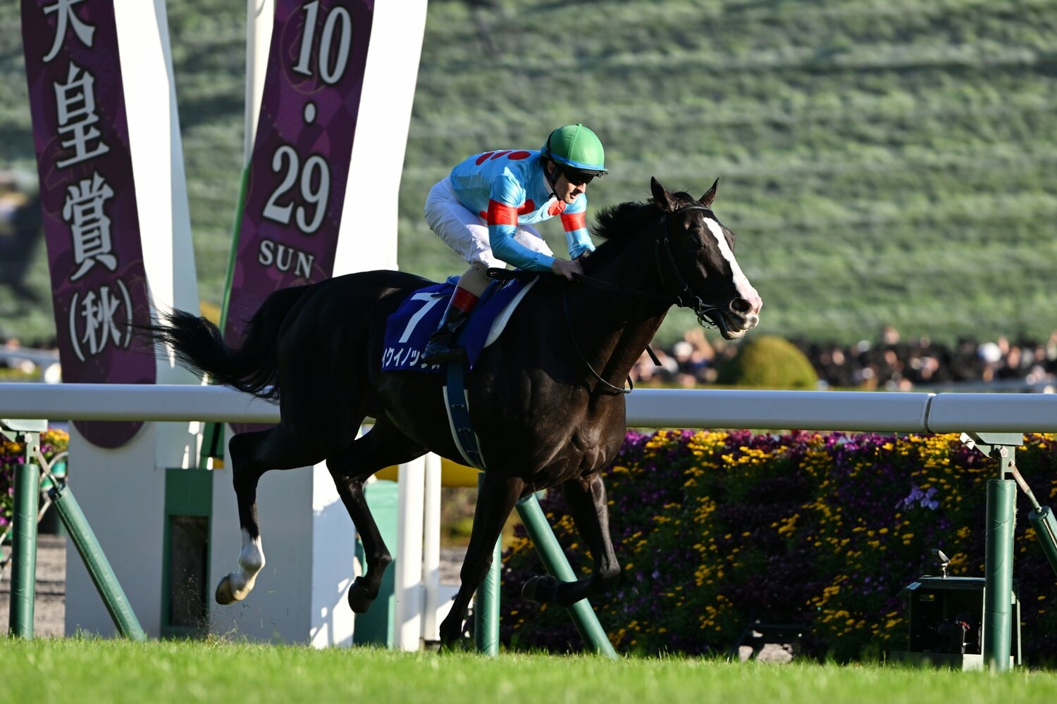 「1分55秒2」という驚異的なレコードタイムで2000mを駆け抜けたイクイノックス　©Keiji Ishikawa