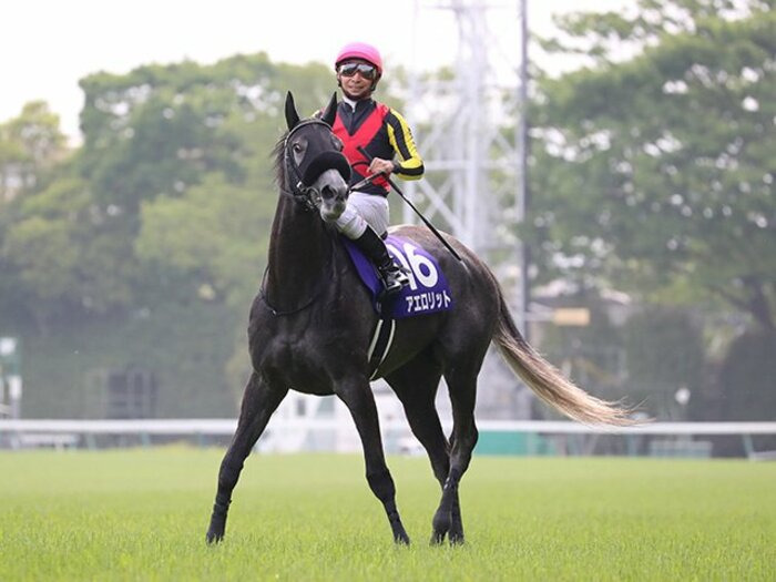 横山典「もうひとつあるように感じる」3歳マイル女王の本当のスケール。<Number Web> photograph by Yuji Takahashi