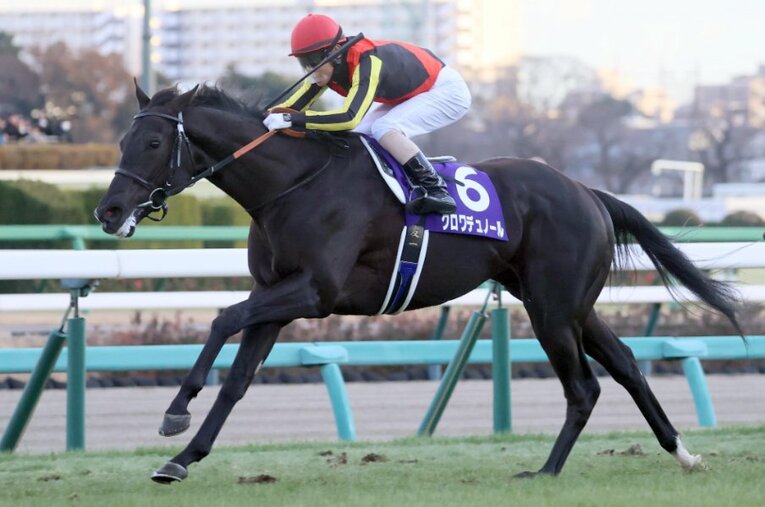 無傷の3連勝で昨年末のホープフルステークスを制したクロワデュノール。現3歳世代では頭ひとつ抜け出した存在となっている ／ photograph by Sankei Shimbun