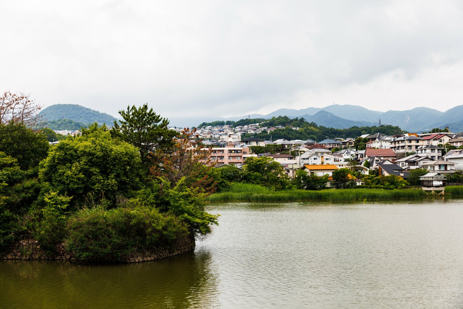 仁川駅の北、徒歩ですぐに行ける弁天池。六甲山地も望める