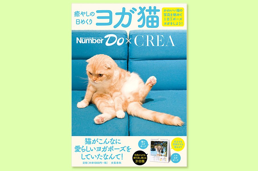 Number WebとCREA WEBで募集をした「ヨガをしている猫」の写真が日めくりカレンダーになりました！＜Number Web＞