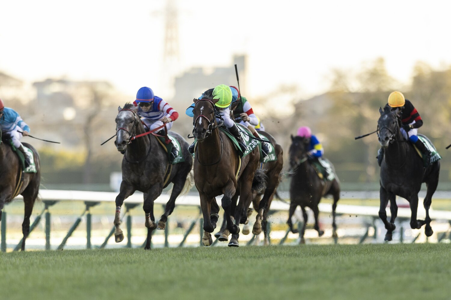 京成杯では、エイシンフラッシュ産駒初の重賞勝利を父子制覇で飾った　©Photostud