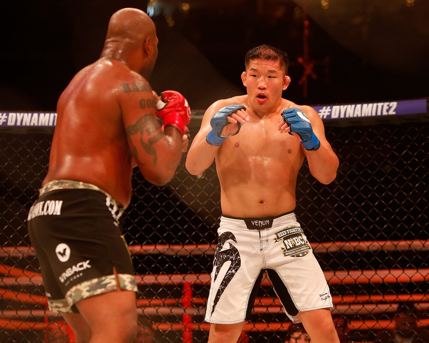 ベラトールにも挑戦した石井（2016年撮影）　©Getty Images