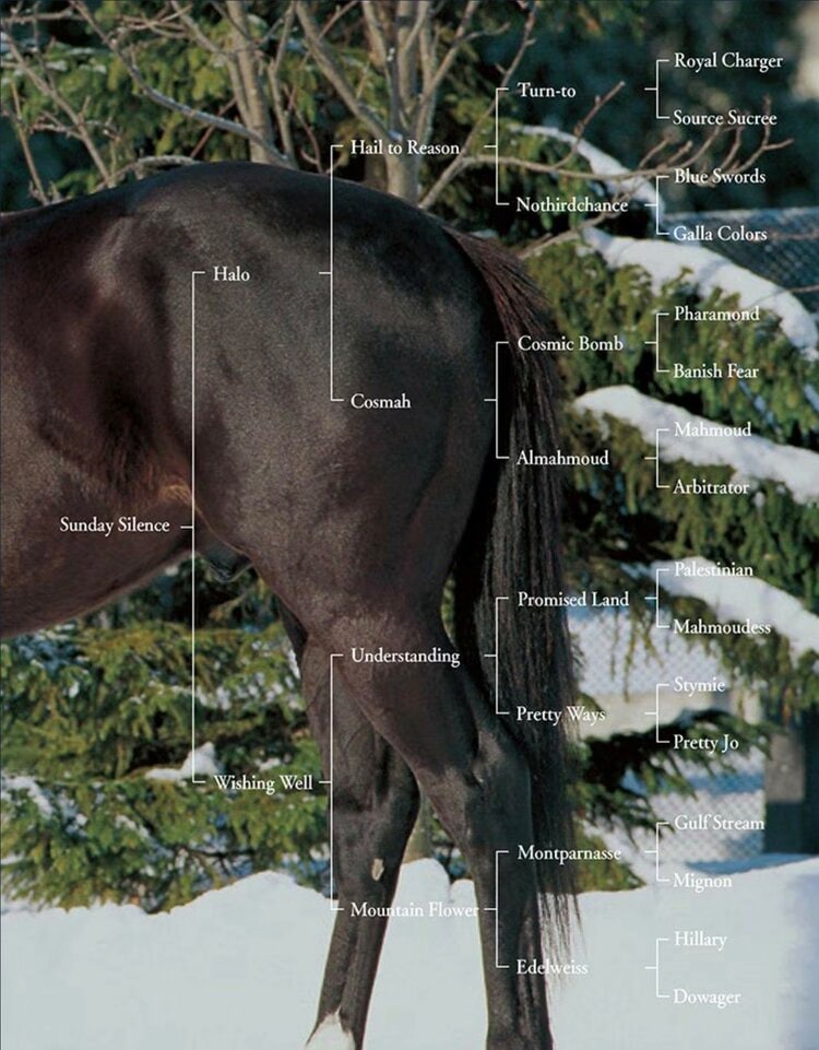 もし、サンデーサイレンスがいなかったら…」最強種牡馬導入の立役者が