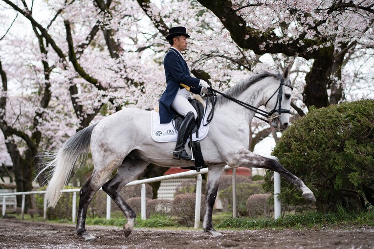 北原が馬場馬術競技馬として育成したオースミイレブン（父クロフネ、母ロジータ）