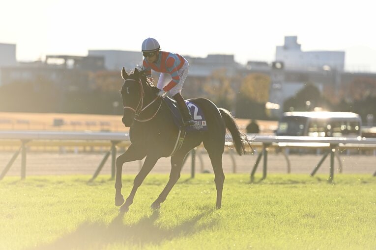 「本当に立派な走りでした」コントレイルがジャパンCで有終の美…“男泣き”福永祐一が三冠馬と歩んだ「夢のような」2年間(11)