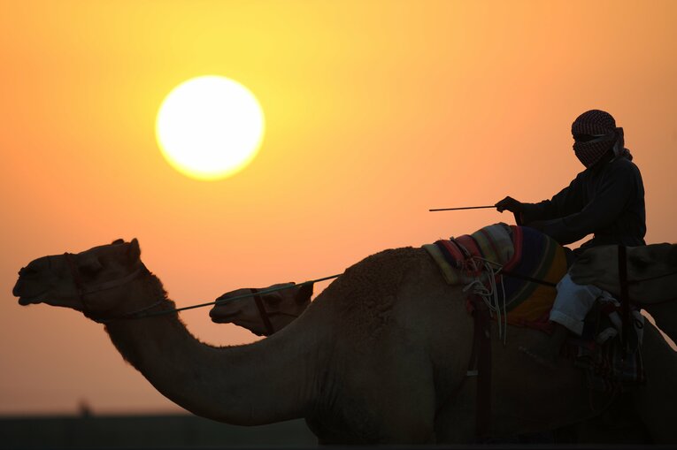 ラクダレース　©Bungeishunju