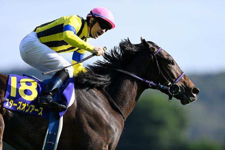 オークス直前に顔面を蹴られて放馬…発走“15分の大遅延”はなぜ起きたのか？「多くの馬の戦いは、スタート前に終わってしまった」(7)