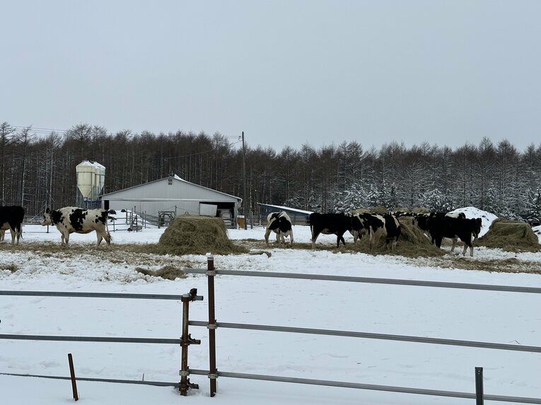 別海町の様子。11万頭の乳牛が暮らす ©Yuji Yanagawa
