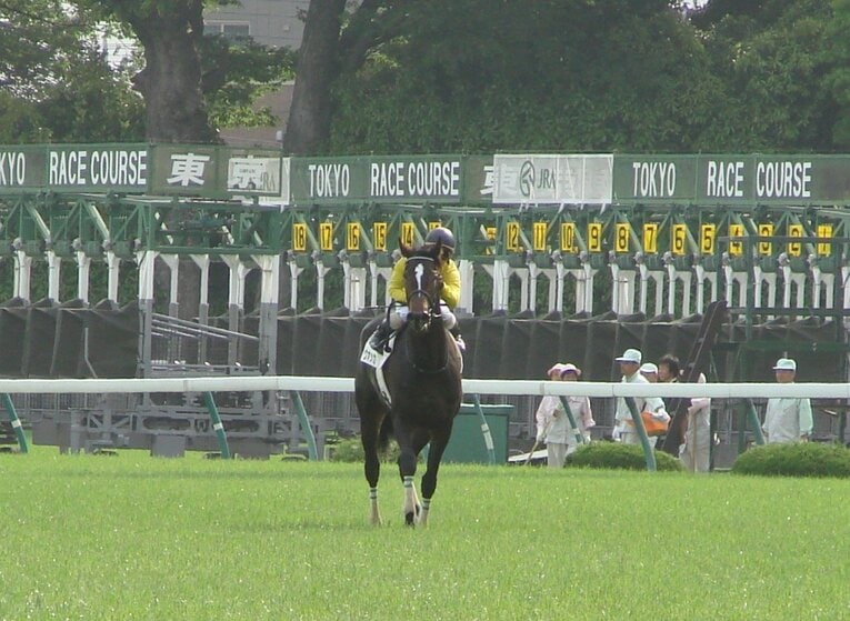 日本ダービーでのウオッカ