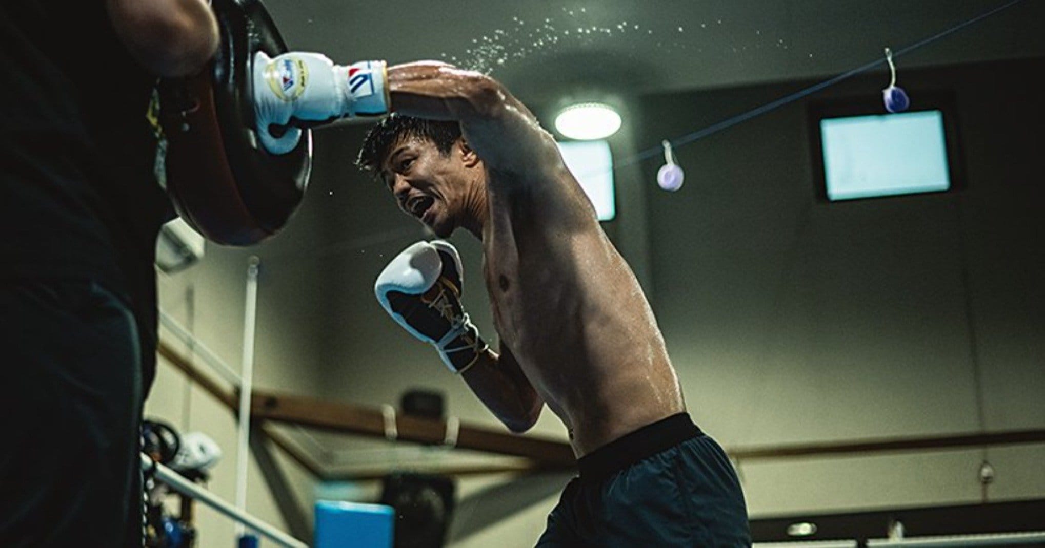 破格！WBA ボクシングチャンピオンベルト レプリカ 井上尚弥 中谷潤人