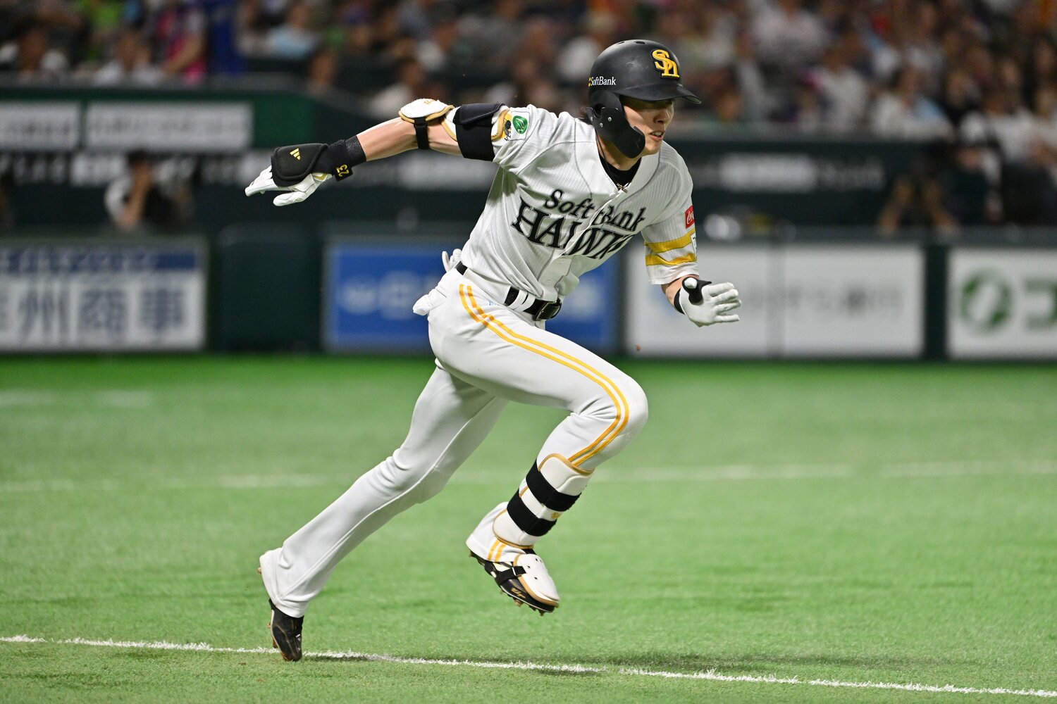 査定ポイントが変わっていた ©Hideki Sugiyama