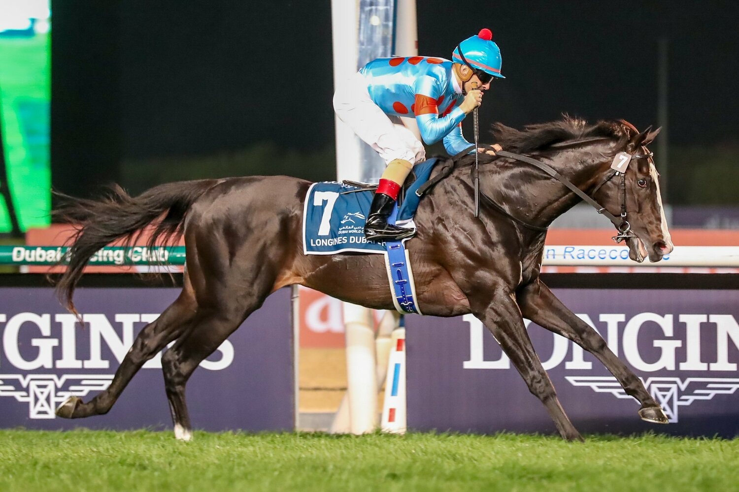 ドバイシーマクラシックで優勝したイクイノックス　©︎AFLO