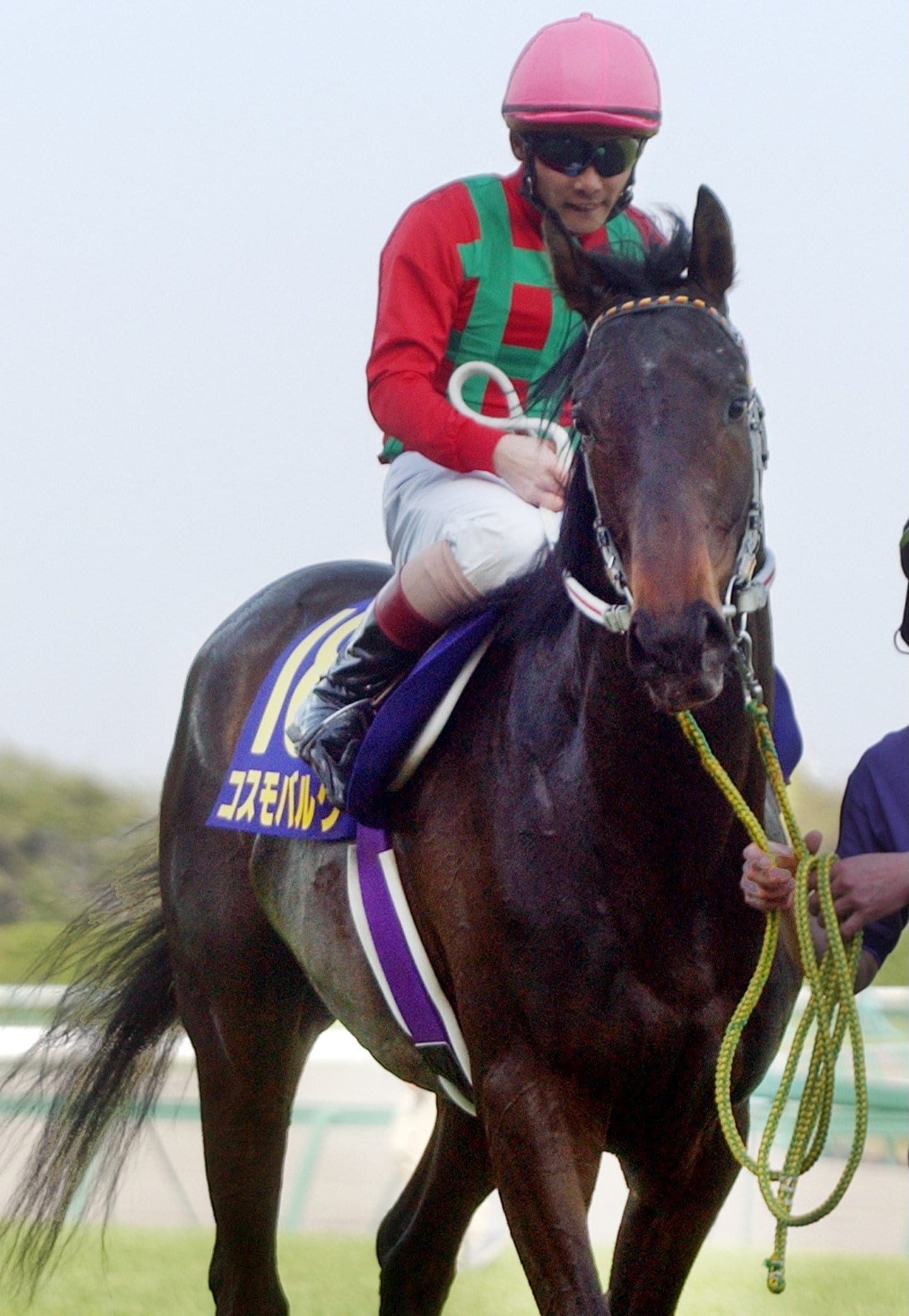 皐月賞で2着となったコスモバルク。ダービーでは2番人気に支持されていた ©JIJI PRESS