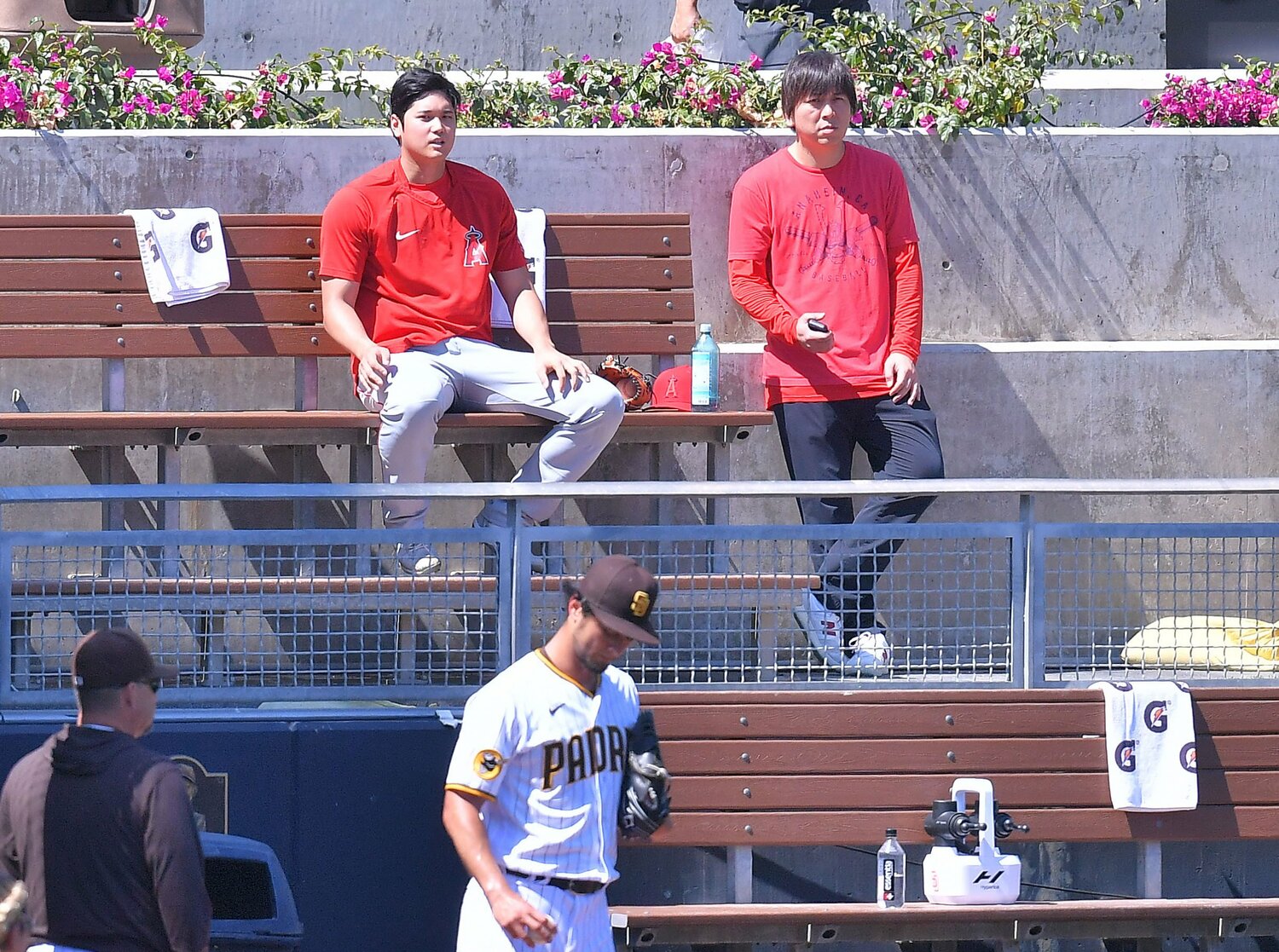 ダルビッシュの投球練習を見つめる大谷と水原通訳　©JIJI PRESS