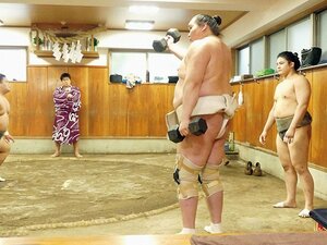 横綱照ノ富士が両膝手術で休場し、リハビリに専念。若手の奮起に期待。