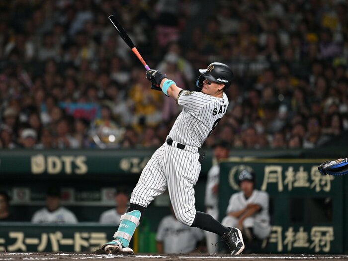 佐藤輝明ら「即戦力の英才教育」で阪神は強くなったが…ヤクルトの「少数精鋭・はめ込み型」育成のメリットと限界を比較すると？＜Number Web＞ photograph by Hideki Sugiyama