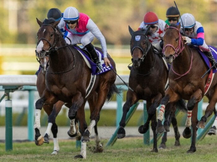 2歳馬とは思えない…朝日杯FS制覇、無敗馬ドルチェモアの「大人びた勝ちっぷり」がスゴかった…今後はマイル路線か、ダービーか＜Number Web＞ photograph by Photostud