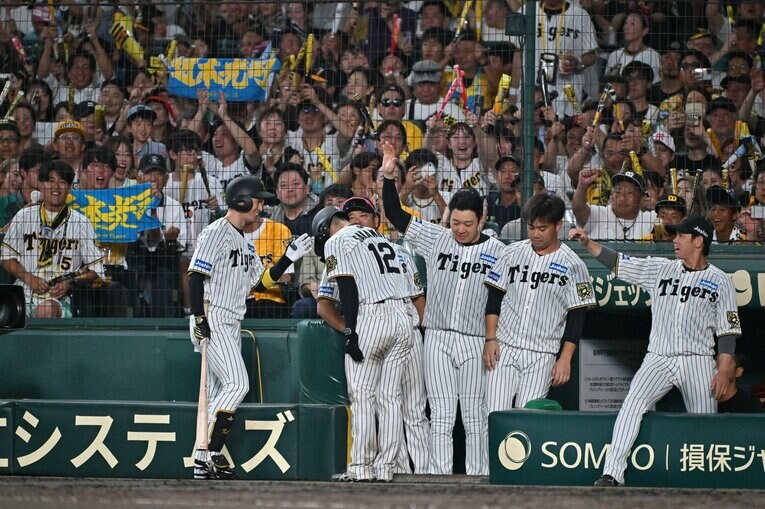 ©︎Hideki Sugiyama 