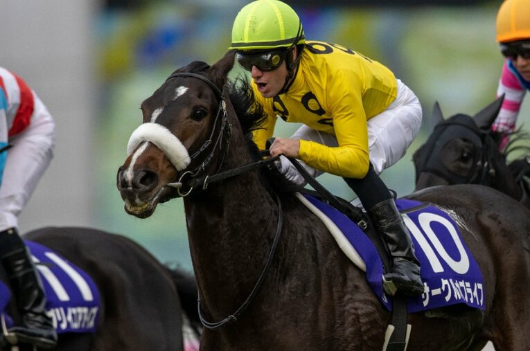 12月12日に開催された阪神JFを制したサークルオブライフとM.デムーロ ／ photograph by Photostud