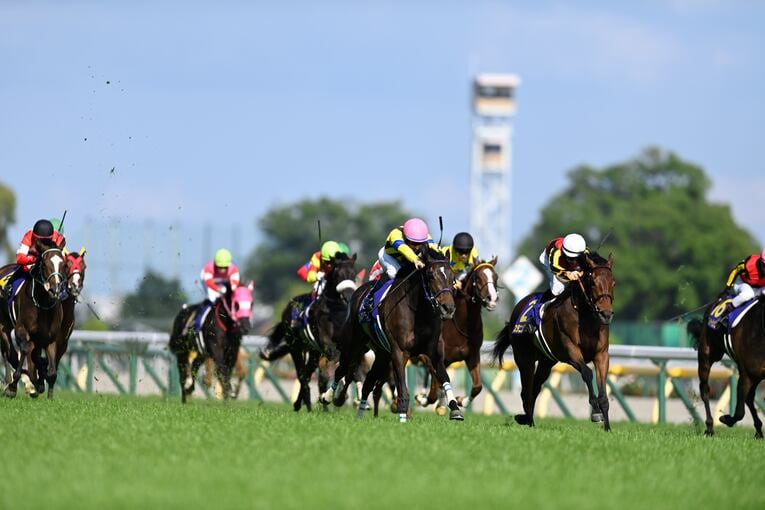 オークス直前に顔面を蹴られて放馬…発走“15分の大遅延”はなぜ起きたのか？「多くの馬の戦いは、スタート前に終わってしまった」(22)