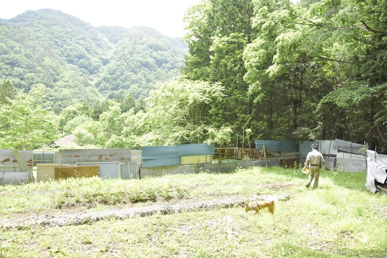 小蕗（こふき）と名付けた廃村（写真）と横浜の2拠点で暮らす服部さんと愛犬ナツ　©Masato Kameda
