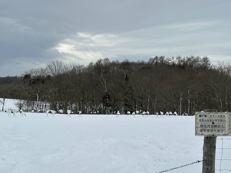 別海町　©Yuji Yanagawa