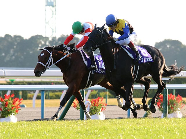 ダノンシャークが競り勝ったマイルCS。淀の直線に見た「120％」の叩き