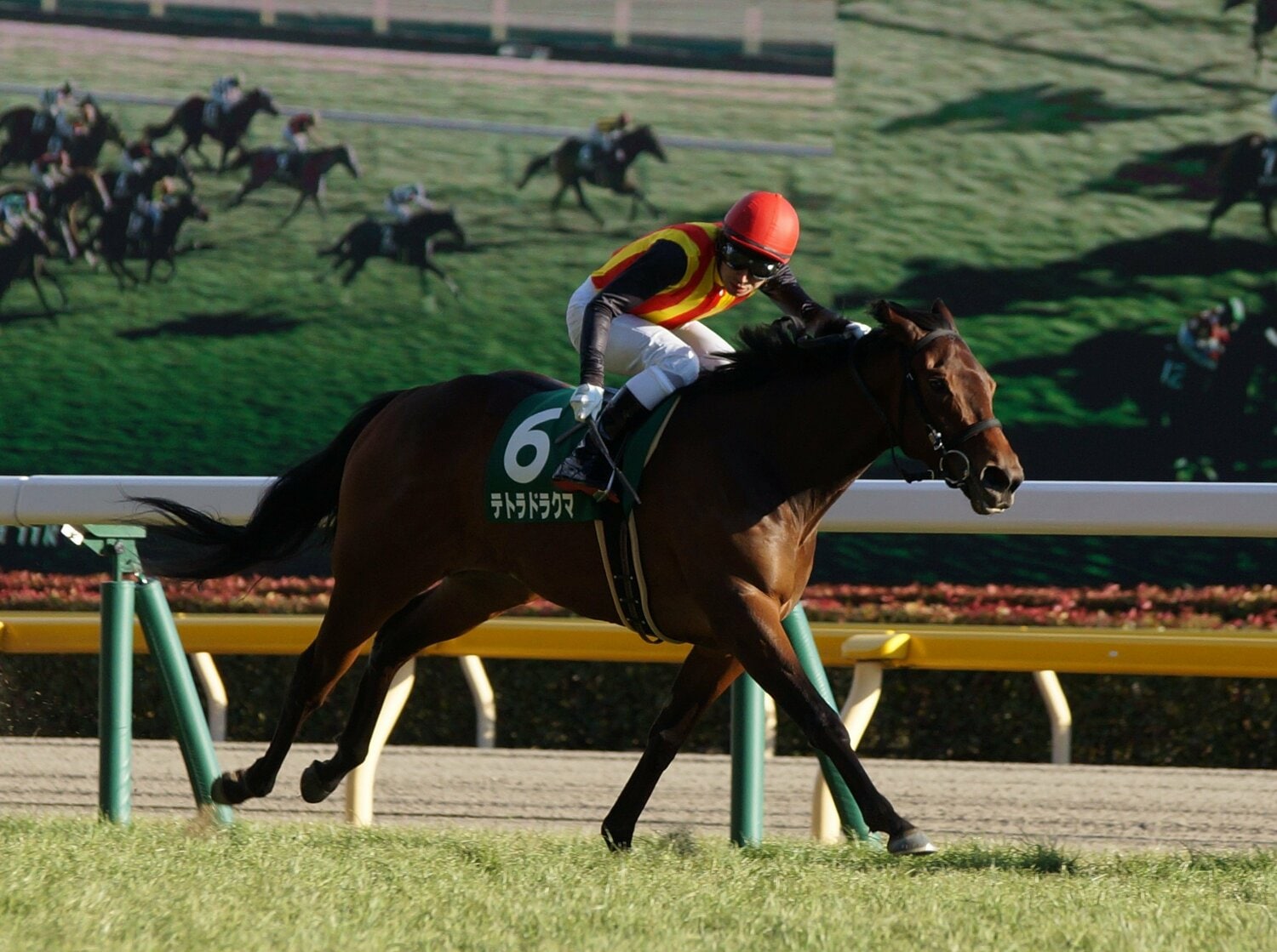 4年前のクイーンCでのテトラドラクマ ©Satoshi Hiramatsu