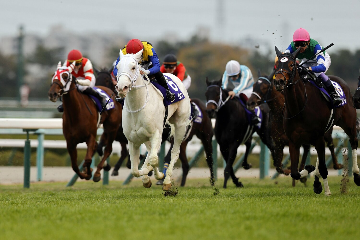 昨年の勝ち馬ソダシは、無敗のまま桜花賞まで制した