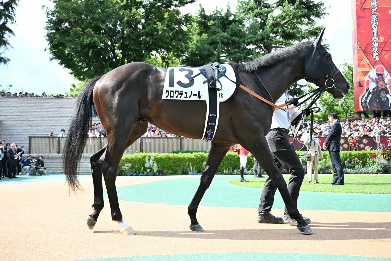 パドックでも抜群の気配だったクロワデュノール ©Keiji Ishikawa