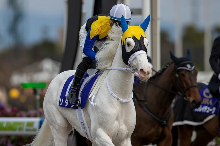 昨年のチャンピオンズCでは敗れたものの、今回は条件が好転するソダシは注目の一頭だ ／ photograph by Photostud