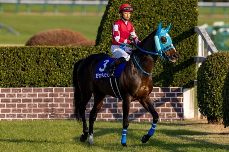 2021年の中山大障害を制したオジュウチョウサンと主戦の石神深一。数々の記録を打ち立てた不世出の障害王が、ついにラストランを迎える ／ photograph by Photostud