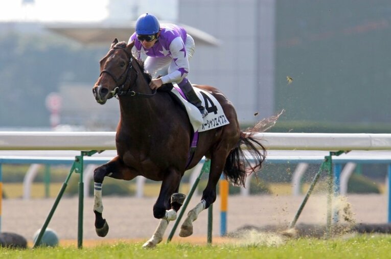 名手・武豊に「飛ぶかもしれない」と言わしめたオーシャンエイプス。「ディープロス」の競馬界で大きな期待を集めた ／ photograph by Yuji Takahashi