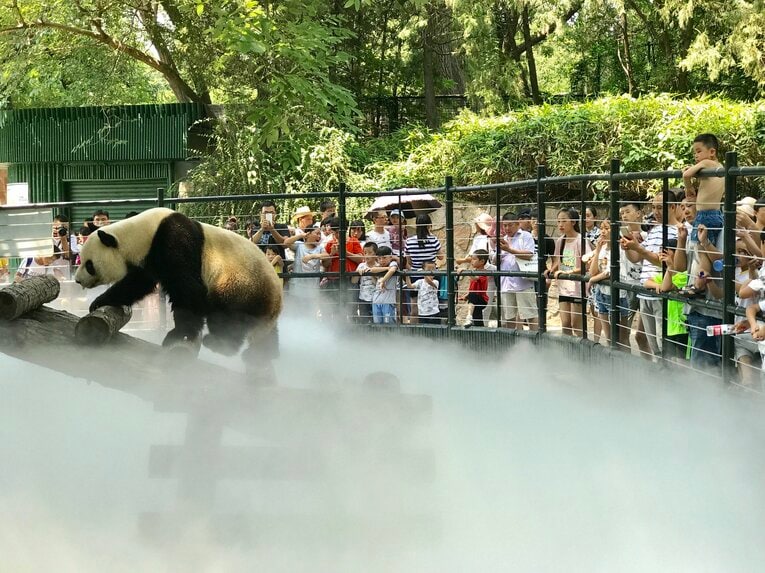 チェンが10歳くらいの頃に行ったことがあるという北京動物園　©Getty Images