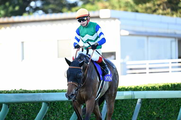 1番人気メイケイエールはなぜ不発に終わった？ 波乱のスプリンターズS、「すべての展開が味方した」ジャンダルムが生んだ“血のドラマ”(43)