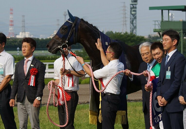 マリアライト　©Satoshi Hiramatsu