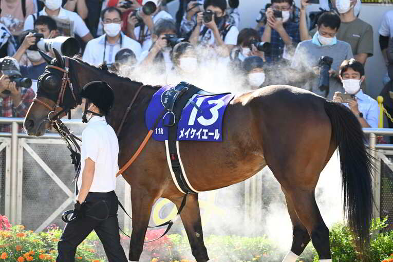 1番人気メイケイエールはなぜ不発に終わった？ 波乱のスプリンターズS、「すべての展開が味方した」ジャンダルムが生んだ“血のドラマ”(18)