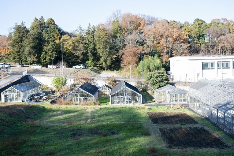 厚木キャンパスにある畑　©Nanae Suzuki