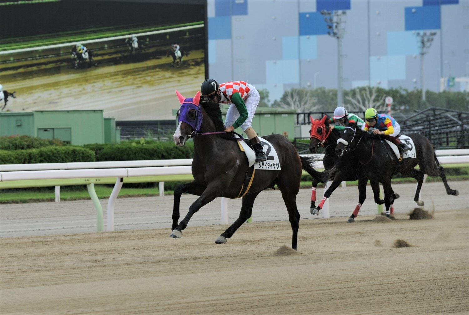 6月27日、シテイタイケツは大井ダート1400mの新馬戦で異次元の末脚を披露した 写真提供:TCK(東京シティ競馬)