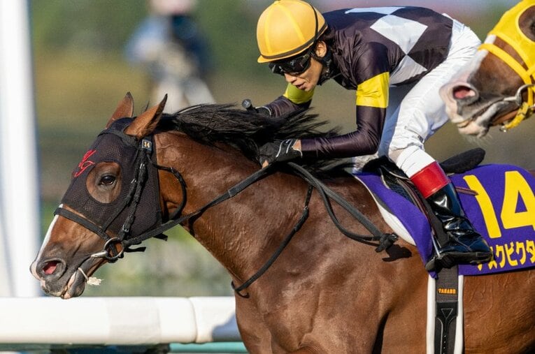 菊花賞を制したアスクビクターモアと田辺裕信 ／ photograph by Photostud