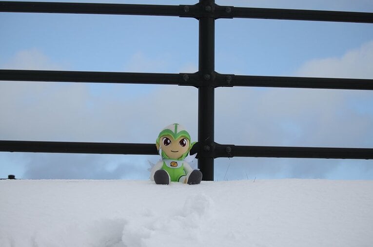 バク宙もスキーもこなすマスコット。J3鳥取ガイナマンの本音訊いてみた。(20) ／ photograph by GAINARE TOTTORI