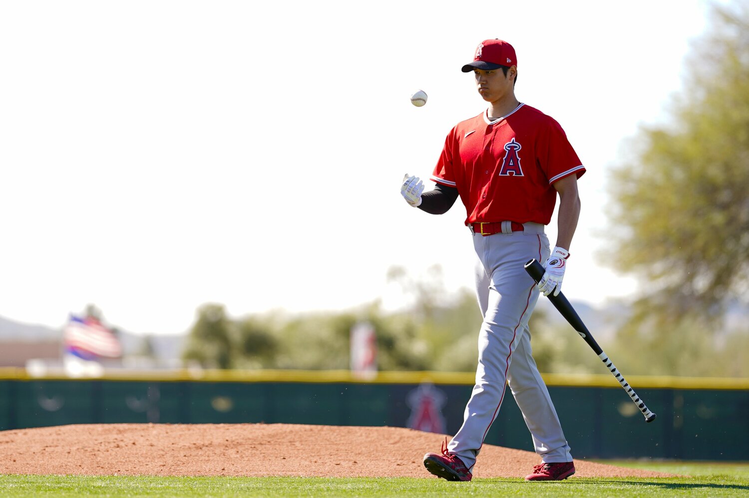 大谷翔平の「二刀流」挑戦には懐疑的な声も多かった（2020年）©︎Getty Images〈※クリック、スワイプすると「大谷翔平、メジャーでの大活躍＋愛されすぎな日常」がご覧になれます〉
