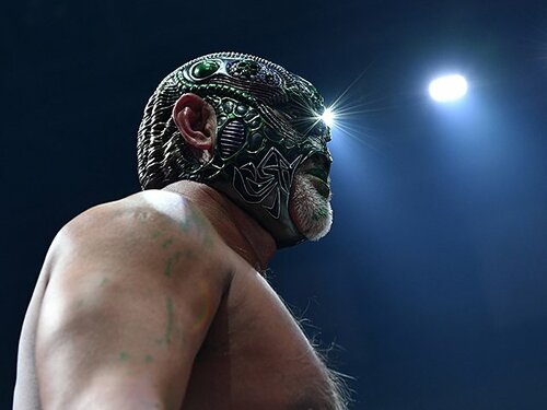 ムーンサルトプレス様　おまとめ買い Amazon.co.jp: 完全版 さよならムーンサルトプレス 武藤敬司