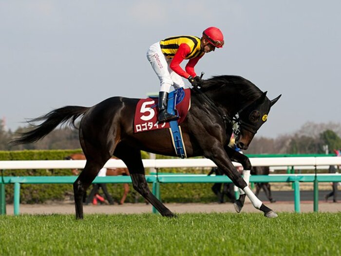 荒れ模様のクラシック戦線。キーワードは“親孝行”?~不遇をかこつ種牡馬の産駒に注目~<Number Web> photograph by Kiichi Yamamoto