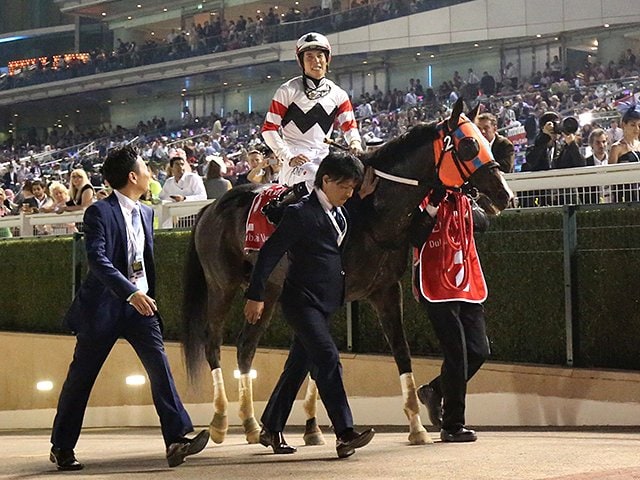 ドバイの新ダートコースで日本馬苦杯。ホッコータルマエを襲った思わぬ