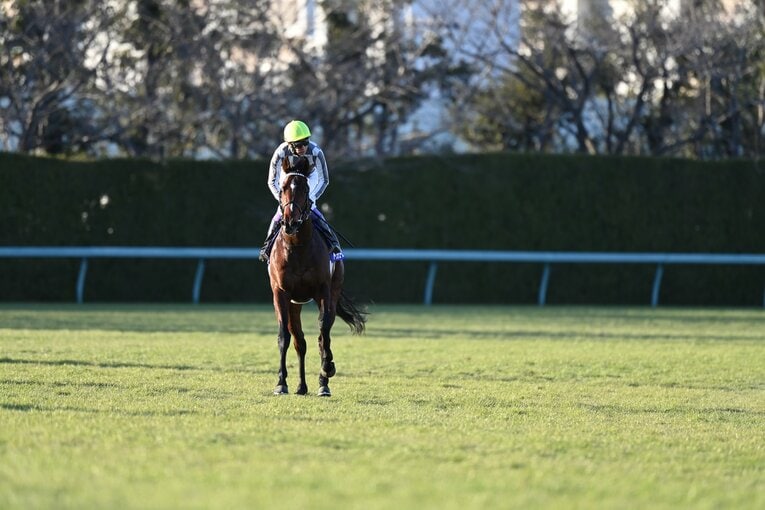 「毎年このレースが近づいてくると…」朝日杯FS“22回目の挑戦”で武豊（52）が悲願達成　“3番人気”だったドウデュースはなぜ勝てたのか？(12)