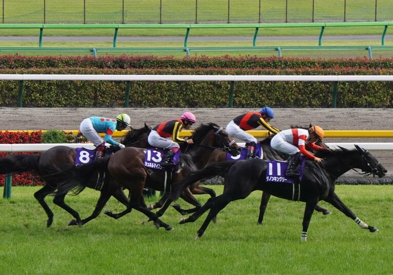 安田記念では古馬相手に3着と善戦したシュネルマイスター　©Satoshi Hiramatsu