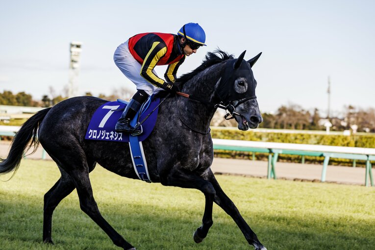 《有馬記念》エフフォーリアと横山武史は“とにかく強かった”…苦境の若武者を救った一言「武史が一番上手いから、信じて乗ってこい」(7)